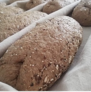 Pan integral en proceso